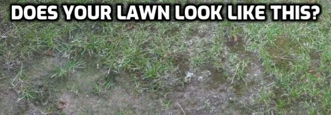 Professional yard cleanup service in Rupert, ID - Bailey Designs