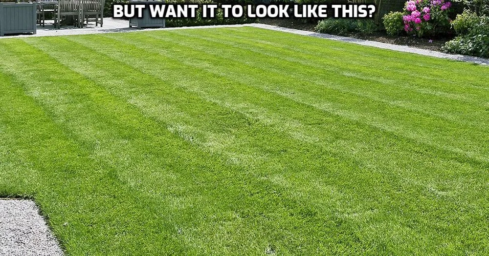 Trusted lawn mowing service for year-round maintenance across Rupert, ID - Bailey Designs