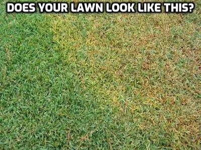 Trusted yard cleanup service for homes across Rupert, ID - Bailey Designs