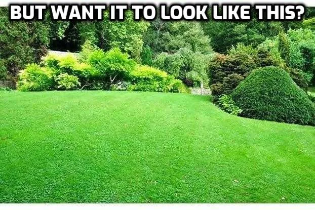 Local lawn mowing service for outdoor upgrades across Rupert, ID - Bailey Designs