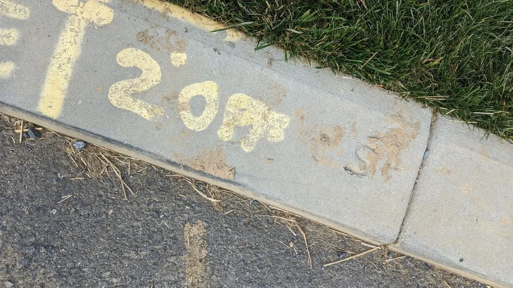 Expert yard maintenance in Harrisburg, PA - Bailey Landscape-Maintenance