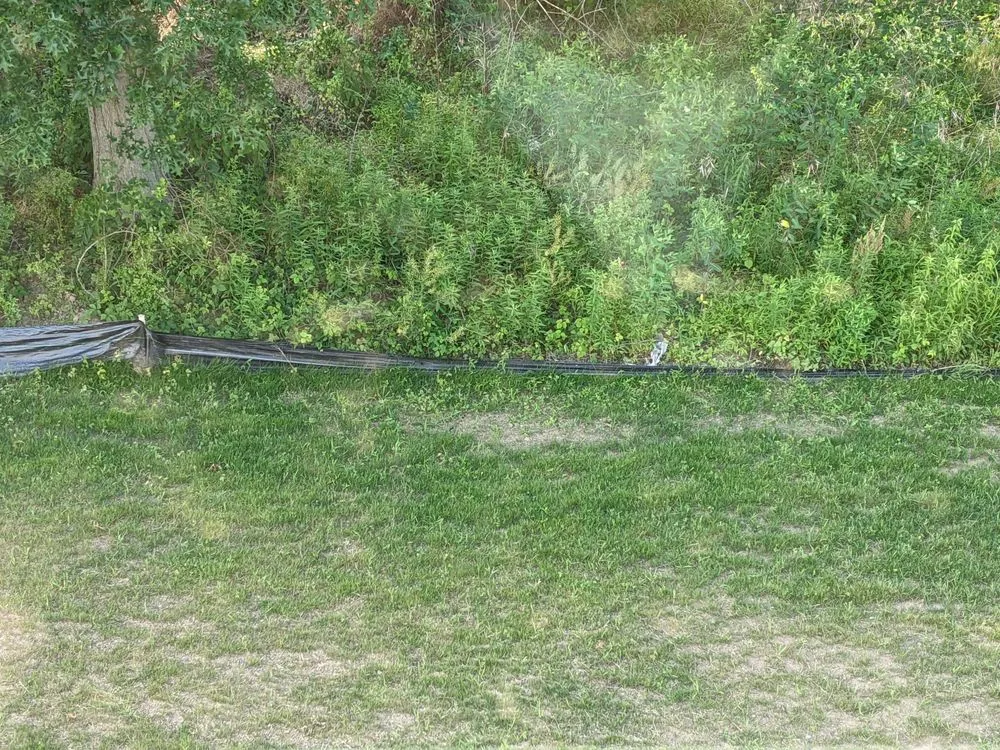 Expert lawn mowing service in Harrisburg, PA by Bailey Landscape-Maintenance