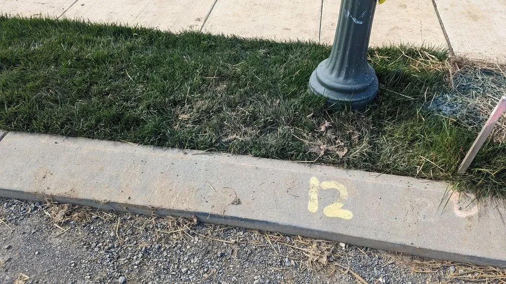 Local landscape installation with custom design across Harrisburg, PA - Bailey Landscape-Maintenance