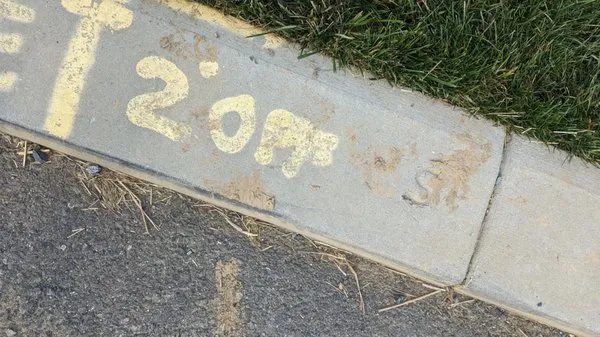 Bailey Landscape-Maintenance Logo