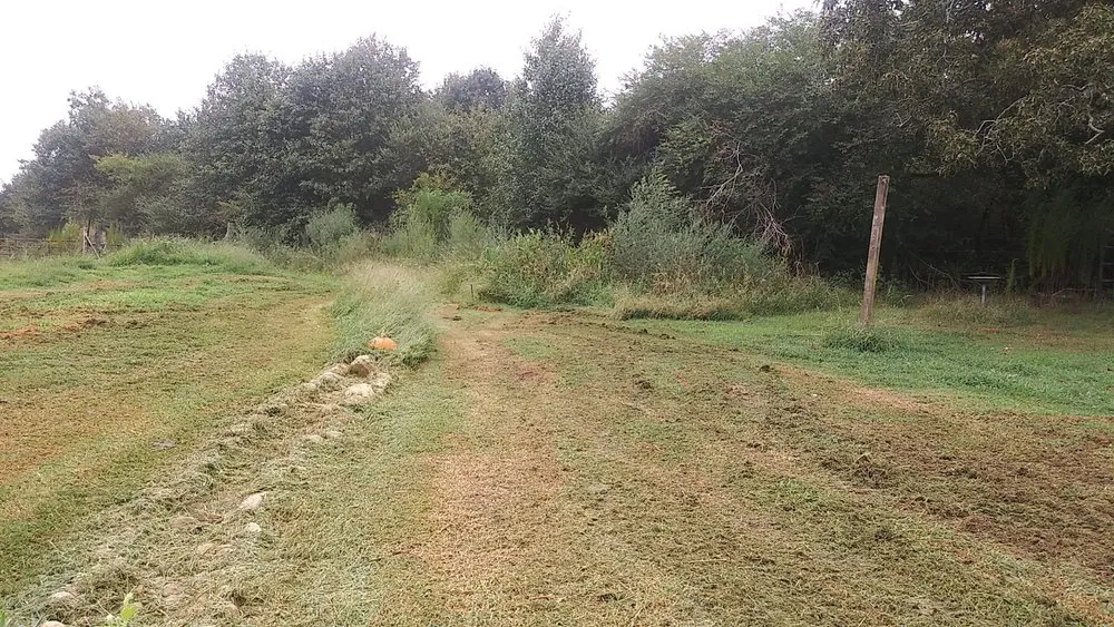 Custom residential landscaping for beautiful yards in Hollywood, AL by Bailey Landscaping