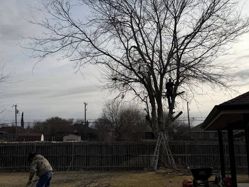 Local garden landscaping near you in Belton, TX by Bailey Services