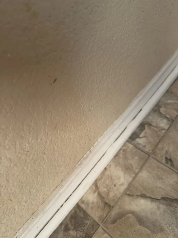 Affordable lawn care service experts serving Belton, TX - Bailey Services