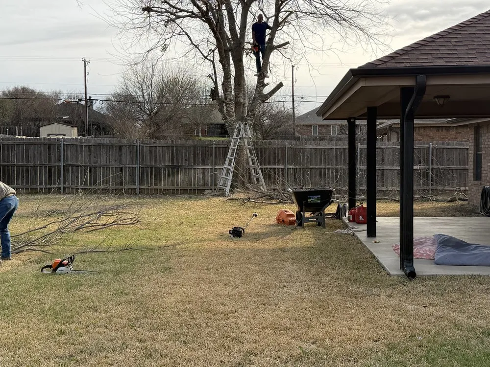 Affordable garden landscaping in Belton, TX by Bailey Services