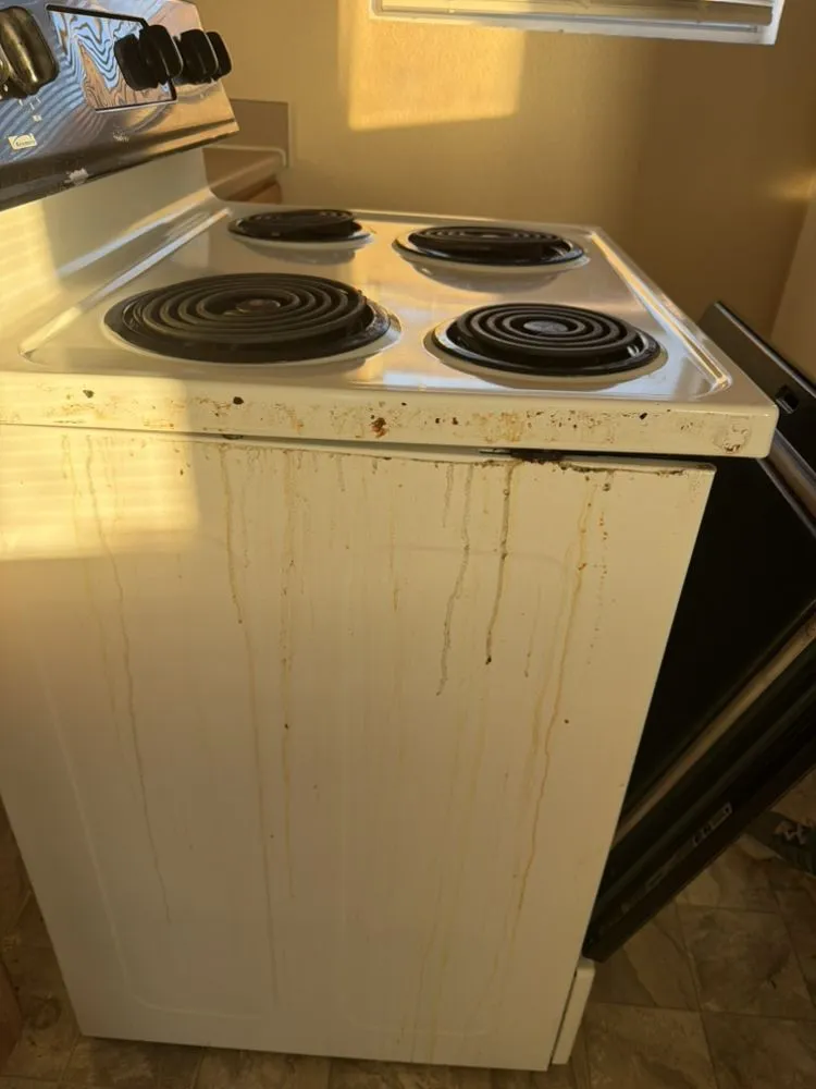 Trusted outdoor landscaping in Belton, TX - Bailey Services