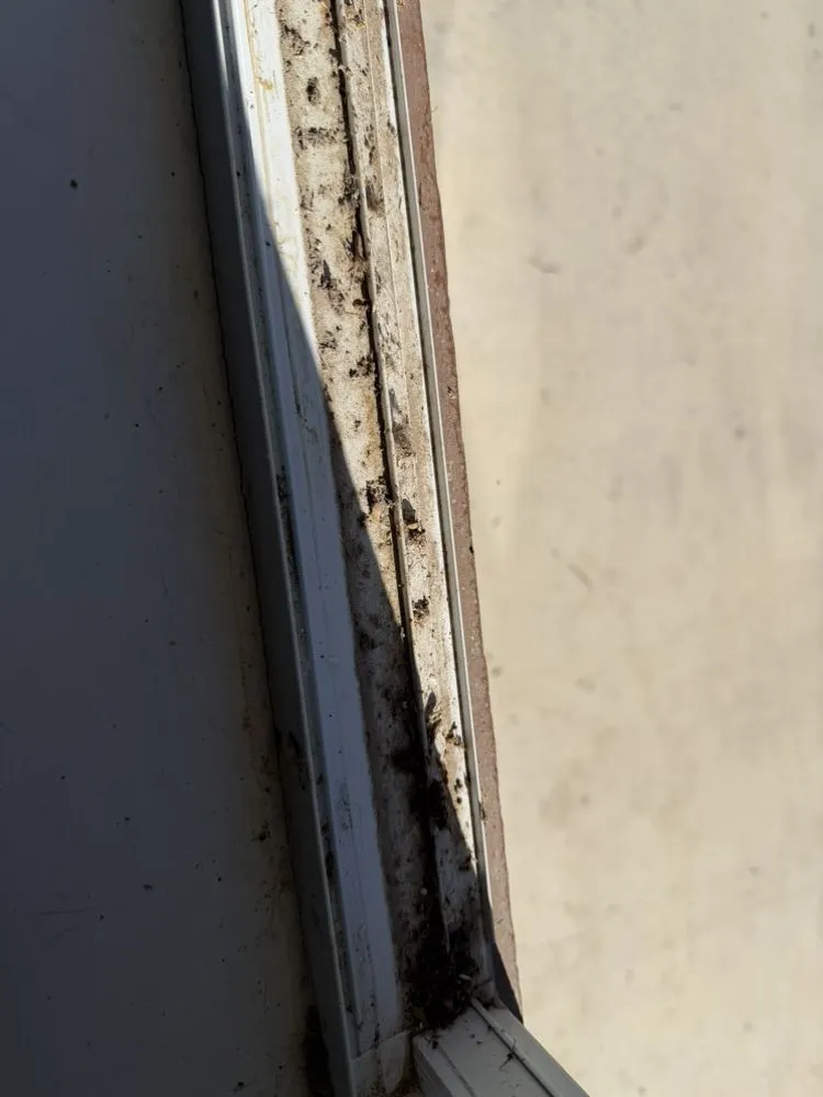 Professional yard maintenance for beautiful yards in Belton, TX by Bailey Services