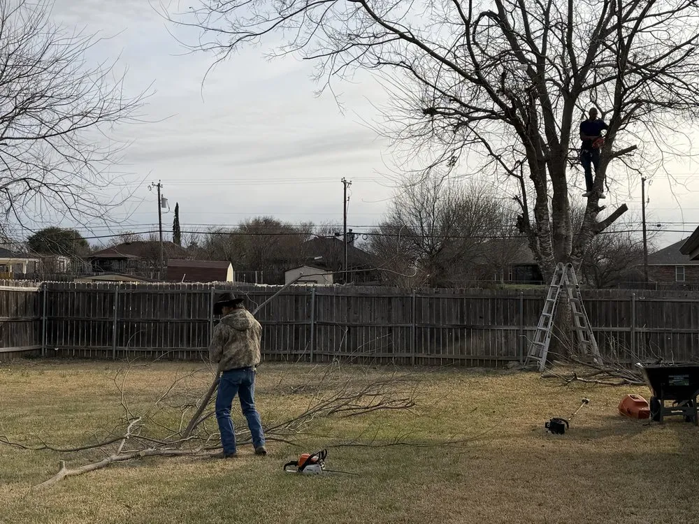 Local landscaping services in Belton, TX by Bailey Services