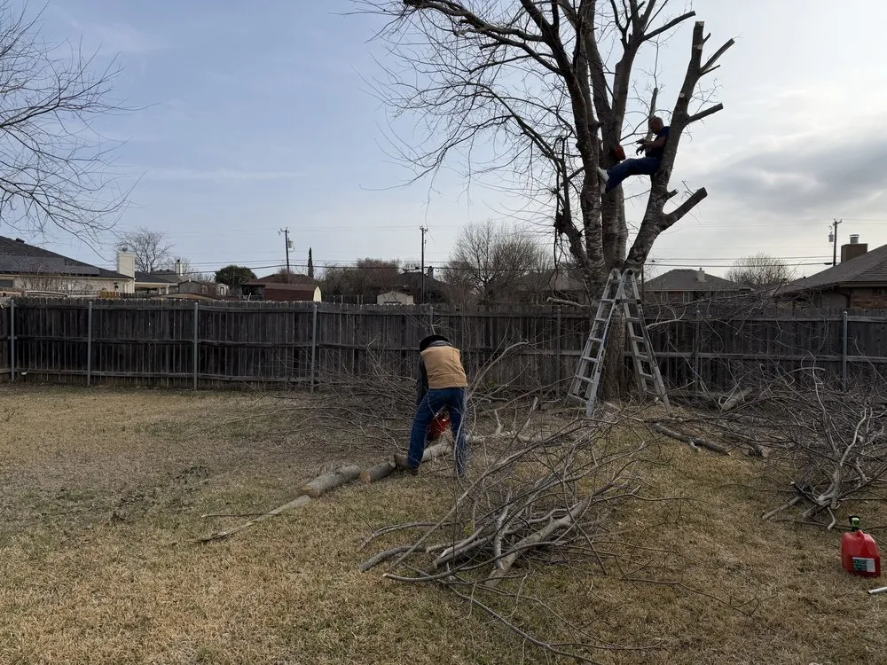 Local residential landscaping in Belton, TX - Bailey Services