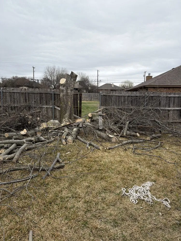 Local yard maintenance for residential properties in Belton, TX by Bailey Services