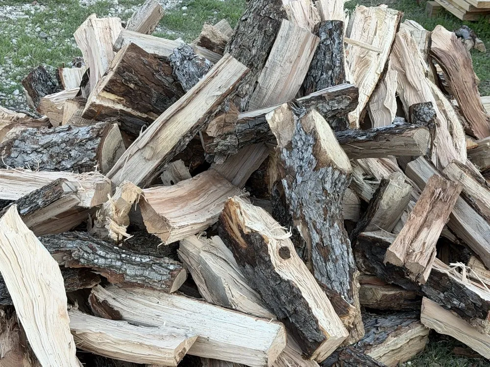 Top-rated landscape installation for year-round maintenance in Belton, TX by Bailey Services