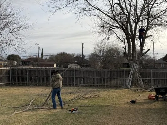 Bailey Services Logo