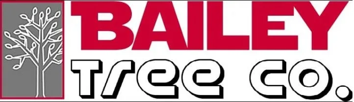 Affordable lawn care service for year-round maintenance across El Dorado Hills, CA - Bailey Tree Co. El Dorado Hills