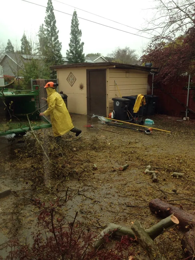 Custom landscape installation experts serving Citrus Heights, CA - Bailey Tree Company