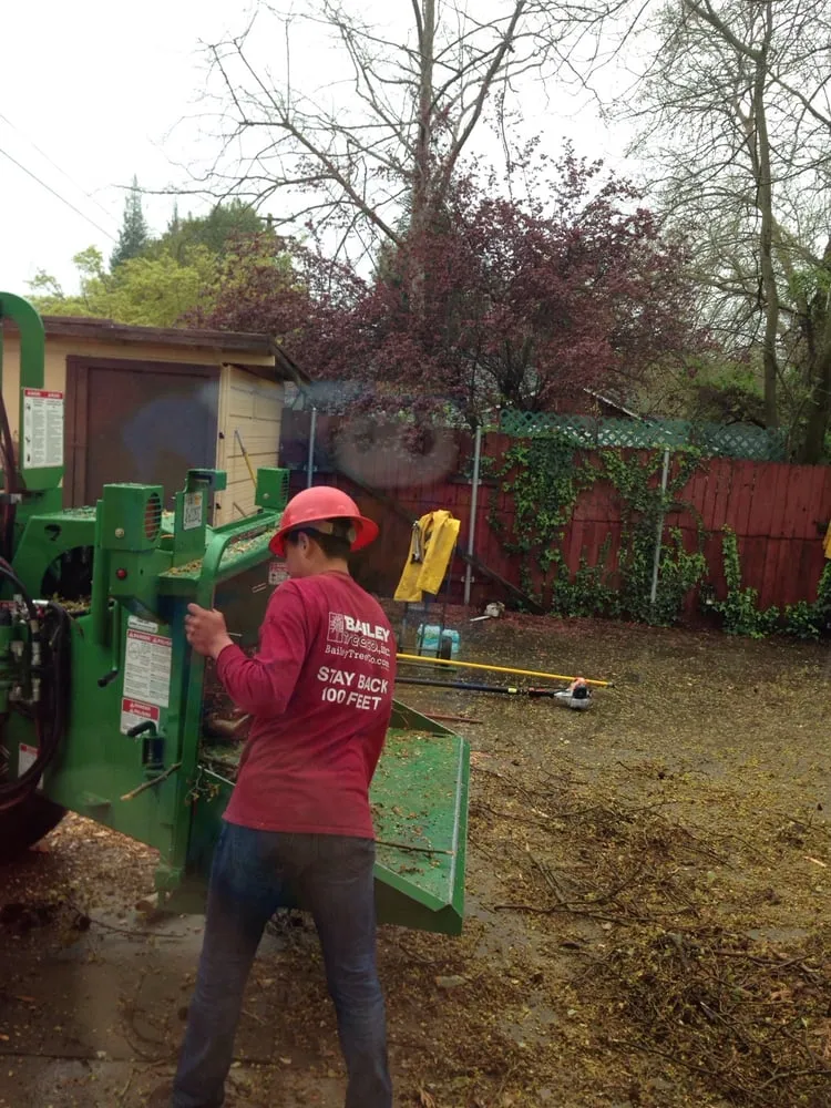 Trusted garden landscaping with custom design across Citrus Heights, CA - Bailey Tree Company