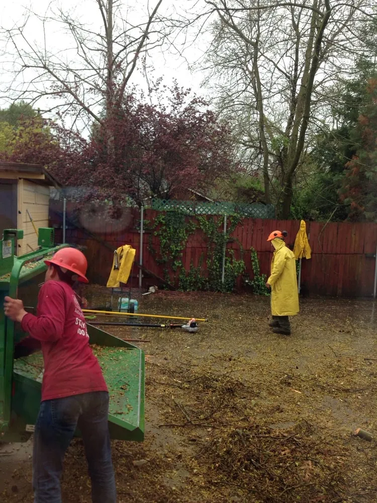 Expert landscape installation in Citrus Heights, CA - Bailey Tree Company