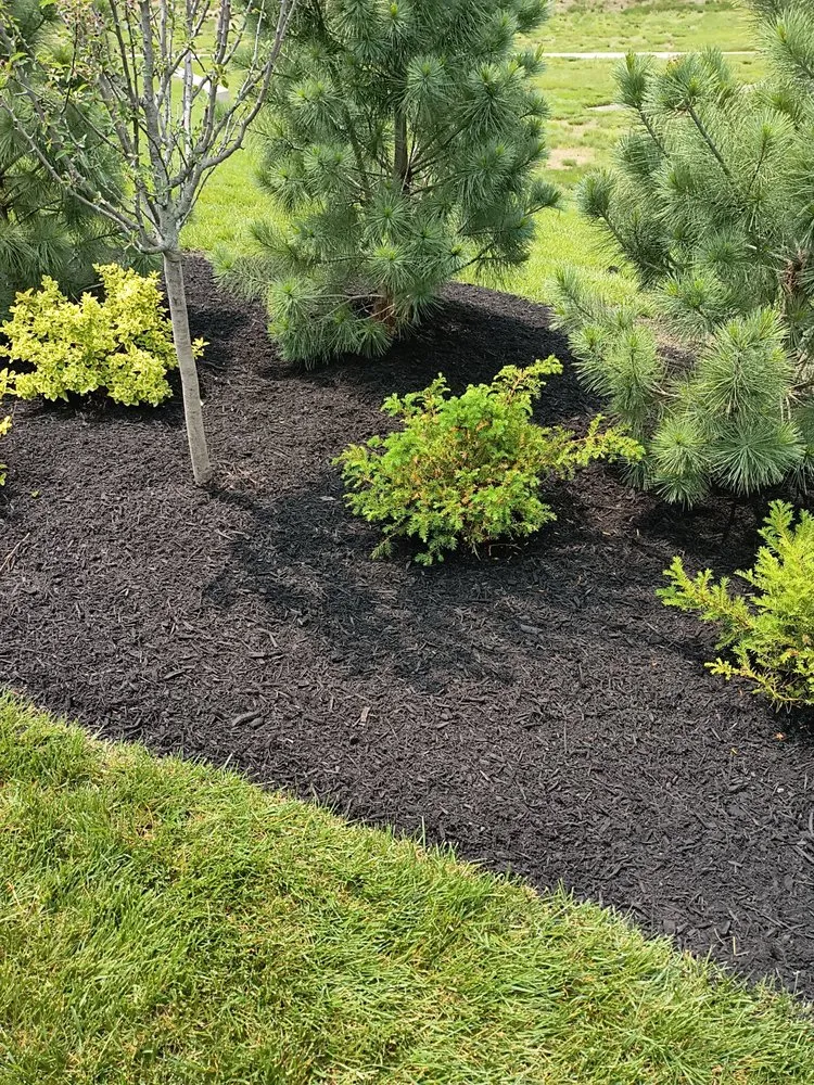 Professional yard cleanup service with custom design across Centerville, OH - Bailey's And Walders All Purposes Services