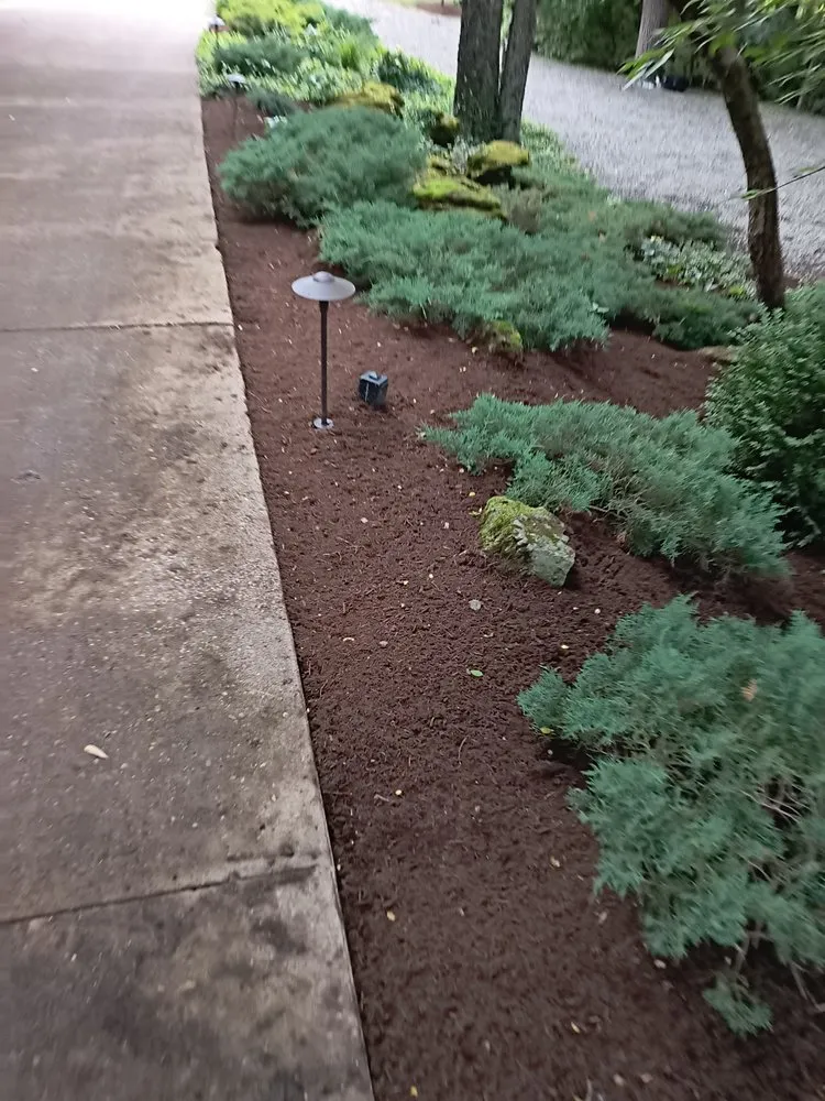 Reliable lawn care service for outdoor upgrades across Centerville, OH - Bailey's And Walders All Purposes Services