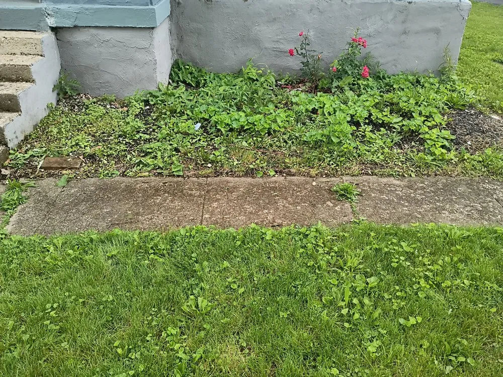 Reliable residential landscaping for year-round maintenance in Centerville, OH by Bailey's And Walders All Purposes Services