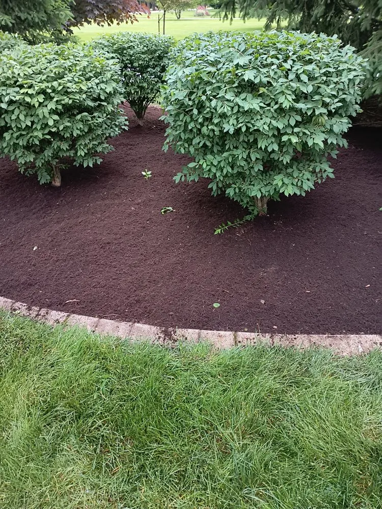 Custom landscape installation for beautiful yards in Centerville, OH by Bailey's And Walders All Purposes Services