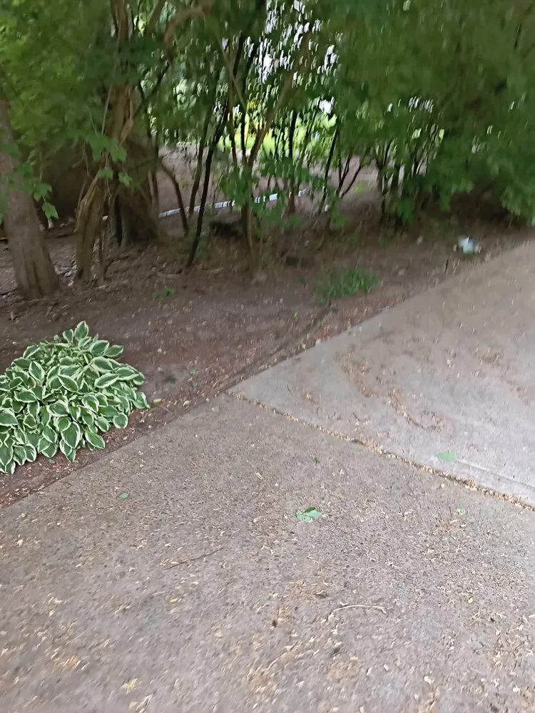 Affordable yard cleanup service in Centerville, OH - Bailey's And Walders All Purposes Services