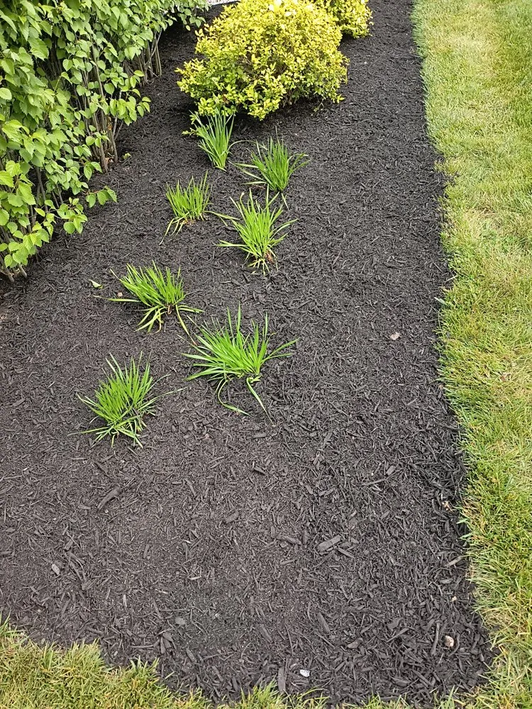 Affordable yard cleanup service for outdoor upgrades across Centerville, OH - Bailey's And Walders All Purposes Services