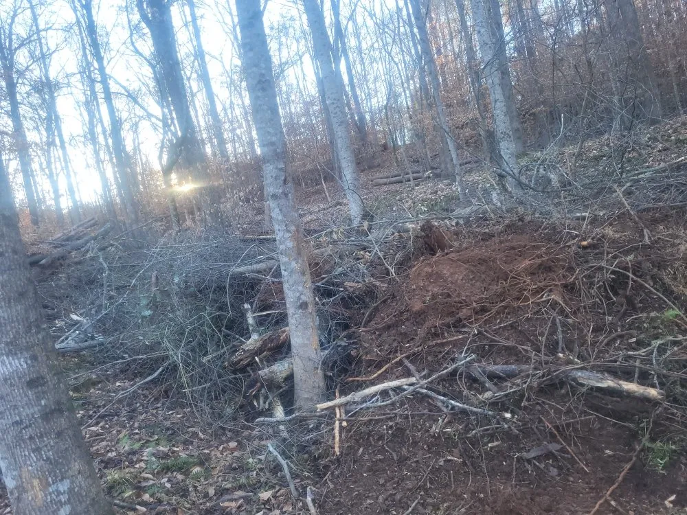 Reliable yard cleanup service for beautiful yards across Woodruff, SC - Baileys Land Soultions