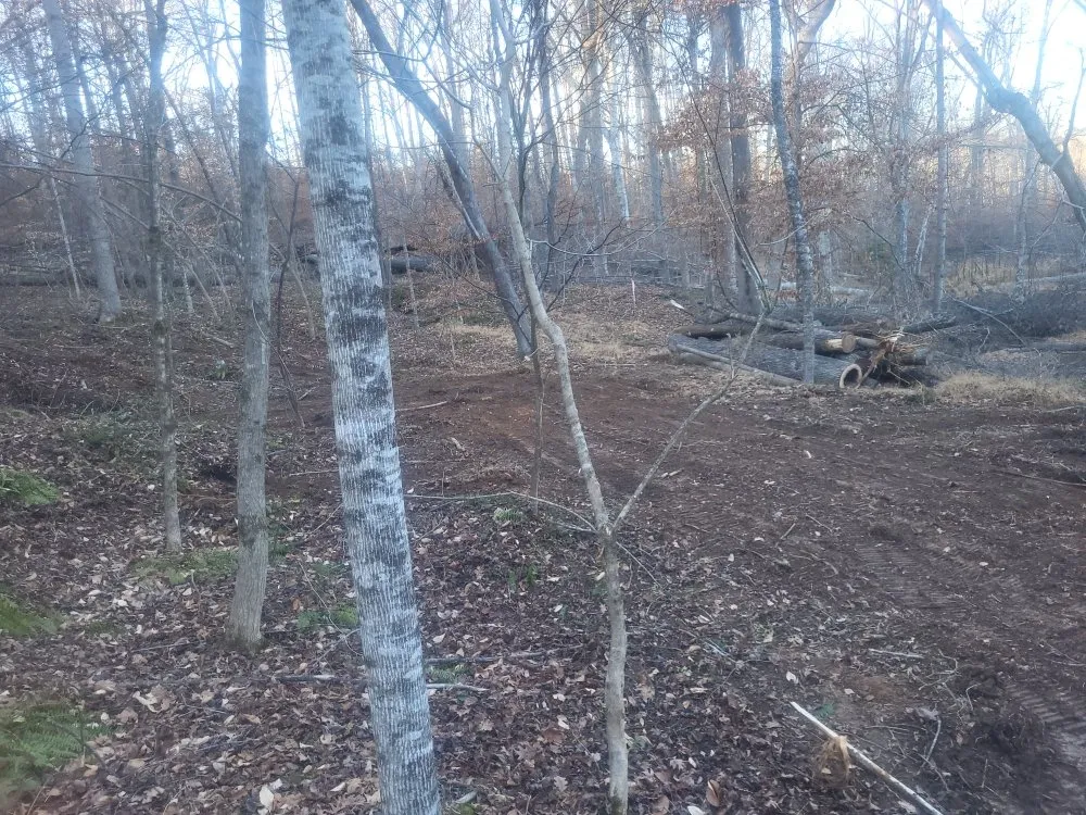 Affordable yard cleanup service in Woodruff, SC by Baileys Land Soultions