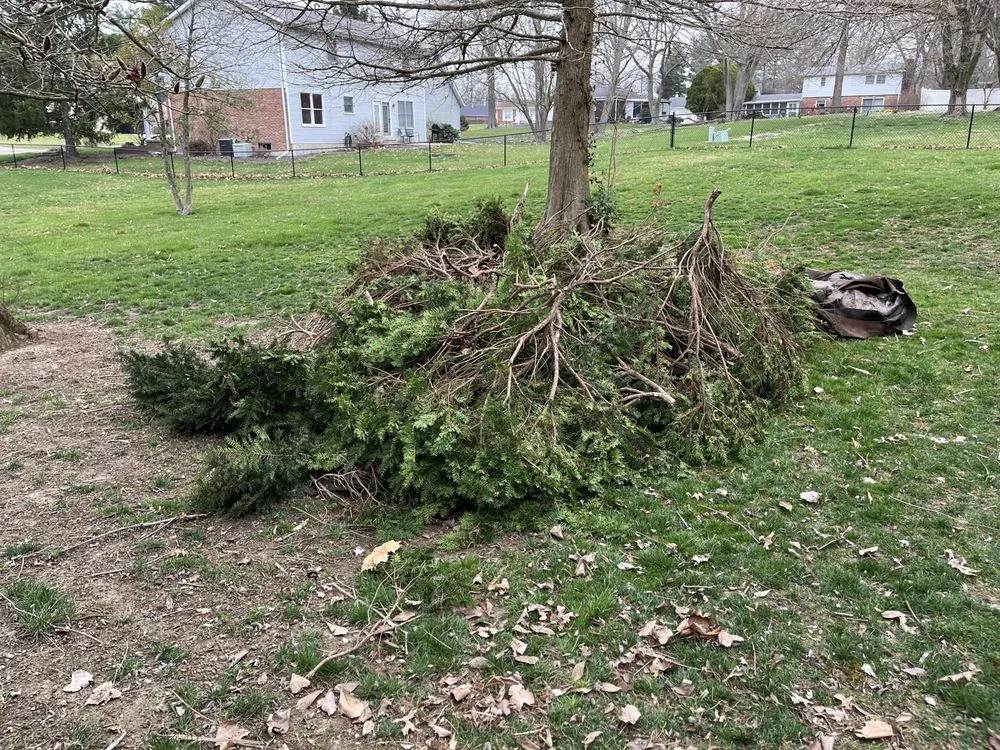 Affordable outdoor landscaping for outdoor upgrades across Granite City, IL - Baileys Landscape & Design