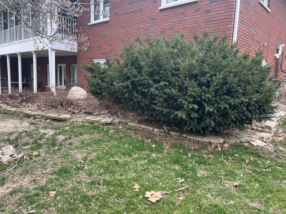 Professional landscape installation for outdoor upgrades across Granite City, IL - Baileys Landscape & Design