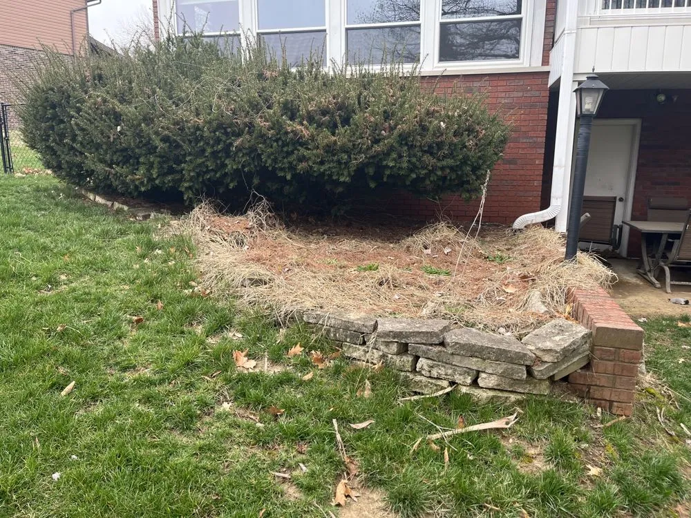 Top-rated yard cleanup service near you in Granite City, IL by Baileys Landscape & Design