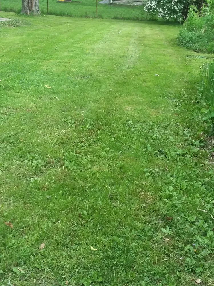 Affordable lawn care service experts serving Gurnee, IL - Bailey's Landscape Maintenance