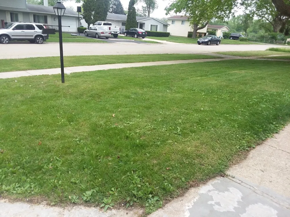 Reliable landscaping services for beautiful yards across Gurnee, IL - Bailey's Landscape Maintenance