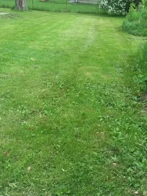 Bailey's Landscape Maintenance