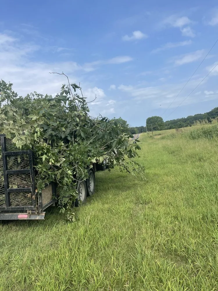 Custom lawn care service in Nashville, AR by Bailey’s Landscaping and Arborist Service