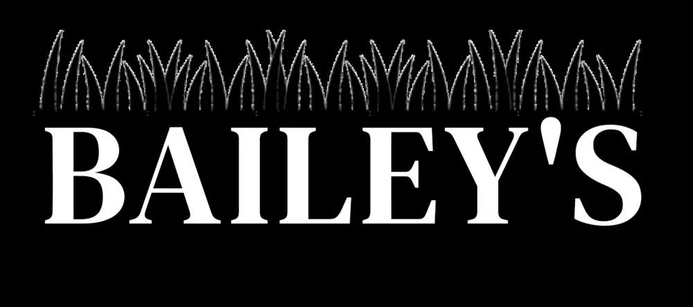 Local landscape installation for beautiful yards across Clyde, TX - Bailey's Landscaping and Masonry