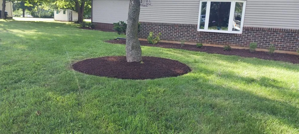 Affordable yard cleanup service in Carlisle, PA by Baileys Landscaping