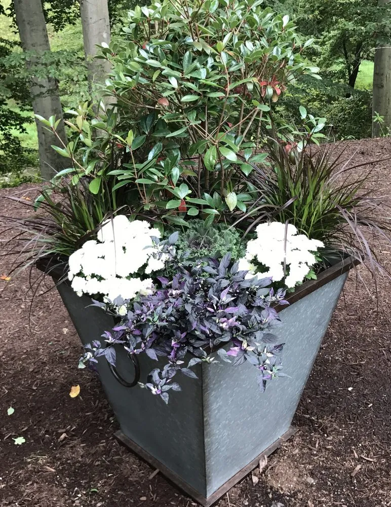 Top-rated outdoor landscaping in Middletown, DE by Bailey's Lawn and Landscape