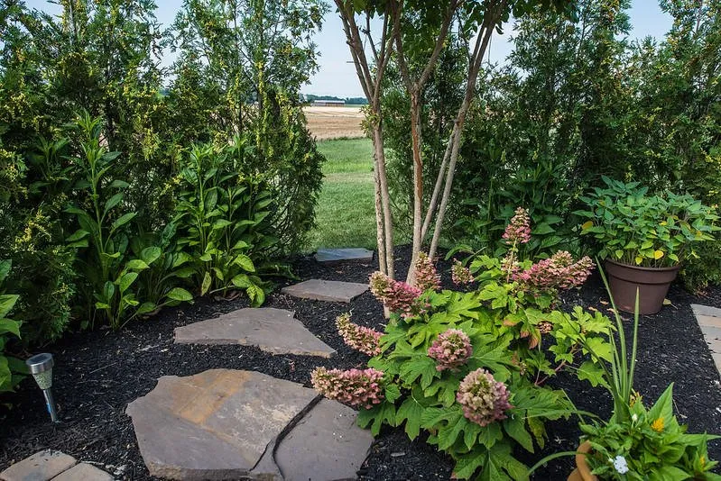 Affordable lawn care service in Middletown, DE by Bailey's Lawn and Landscape