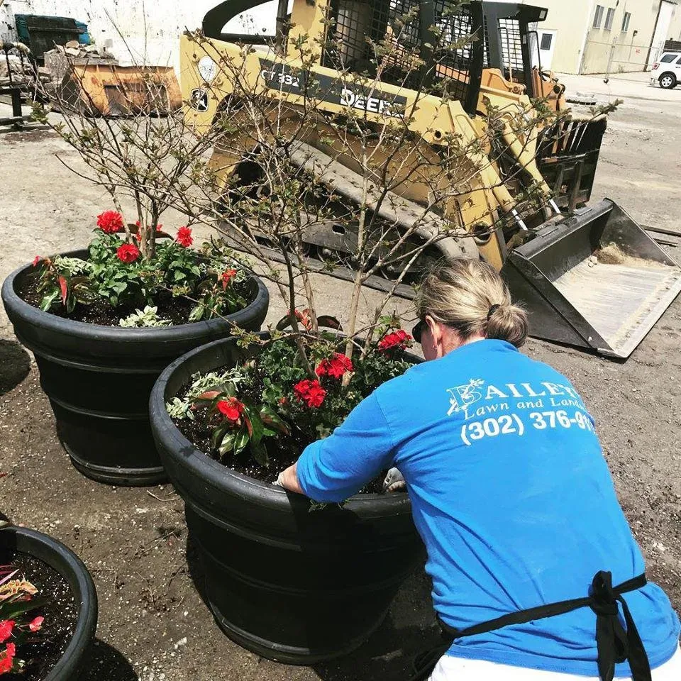 Affordable yard maintenance experts serving Middletown, DE - Bailey's Lawn and Landscape