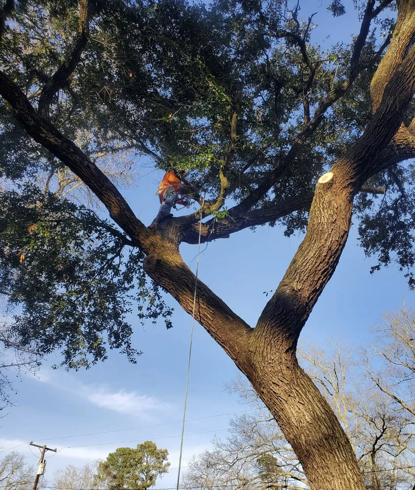 Custom outdoor landscaping for beautiful yards in Tyler, TX by Bailey's Lawn And Tree Service