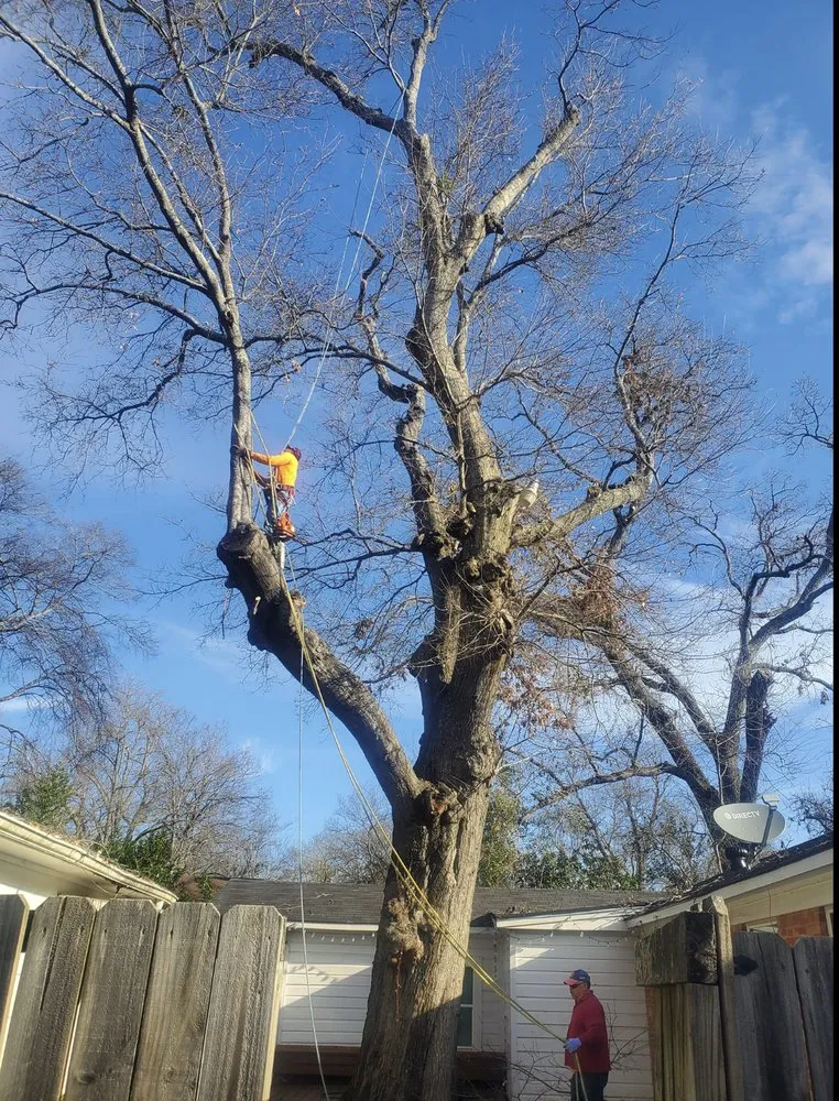 Custom landscape design in Tyler, TX by Bailey's Lawn And Tree Service