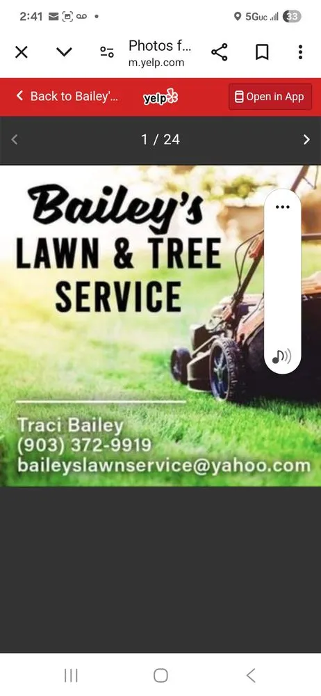 Reliable landscape installation experts serving Tyler, TX - Bailey's Lawn And Tree Service