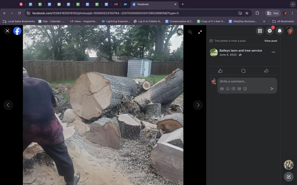 Trusted yard cleanup service experts serving Tyler, TX - Bailey's Lawn And Tree Service