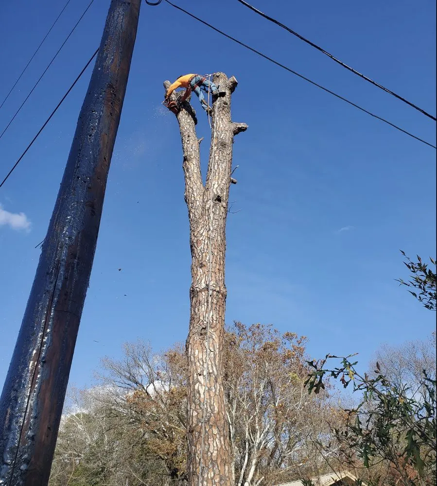 Affordable landscape design in Tyler, TX by Bailey's Lawn And Tree Service