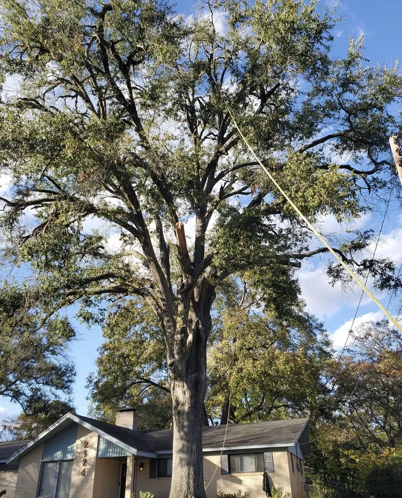 Professional garden landscaping with custom design in Tyler, TX by Bailey's Lawn And Tree Service