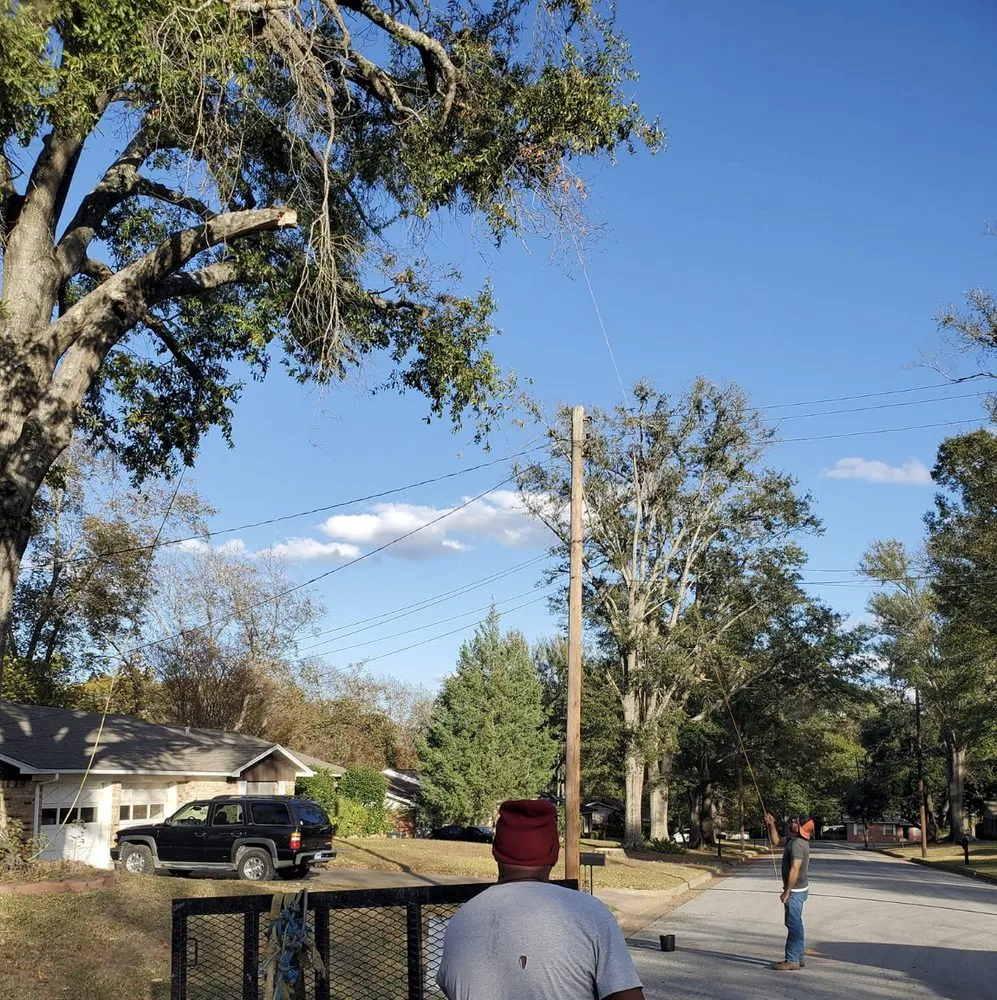 Custom lawn care service experts serving Tyler, TX - Bailey's Lawn And Tree Service